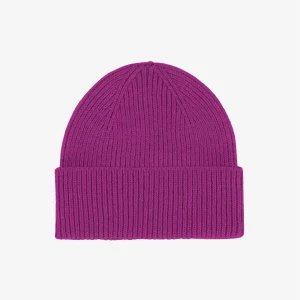 CS Male MerinoWoolBeanie MagentaBlaze jpg