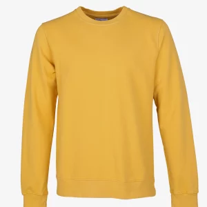 Classic Organic Crew Crewneck CS Burned Yellow jpg