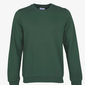 Classic Organic Crew Crewneck CS Emerald Green jpg