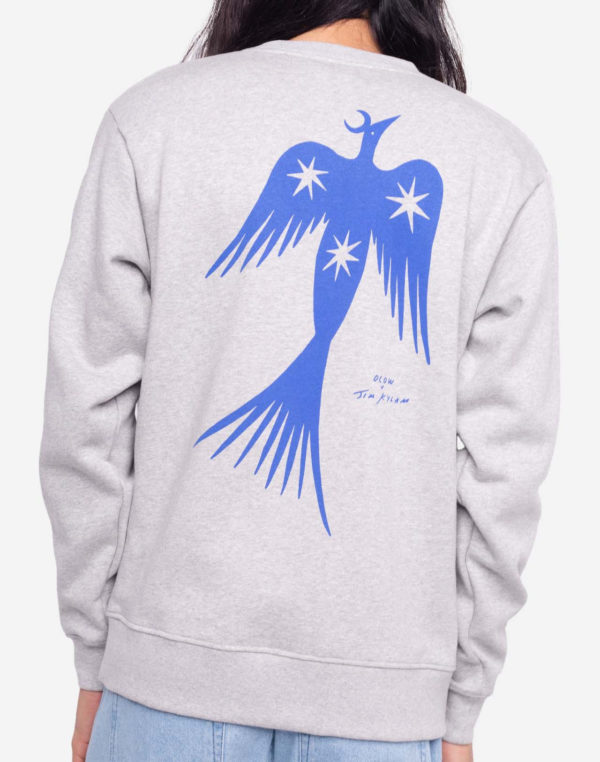 sweat night bird gris chine